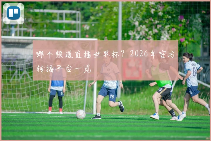 哪个频道直播世界杯？2026年官方转播平台一览