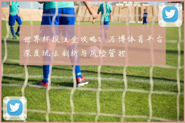 世界杯投注全攻略：万博体育平台深度玩法剖析与风险管控