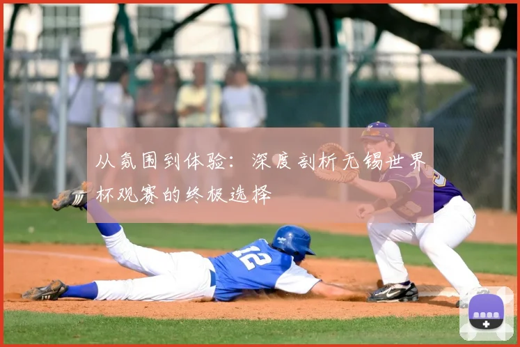 从氛围到体验：深度剖析无锡世界杯观赛的终极选择