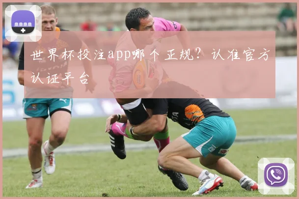世界杯投注app哪个正规？认准官方认证平台