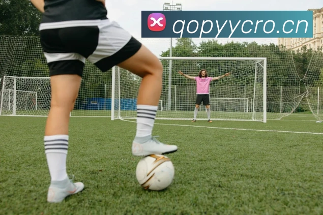 米兰体育在线网站平台生态图